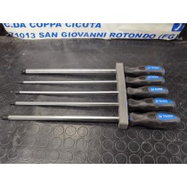 SET 6 PZ. CACCIAVITI POLIGONALI EXTRALUNGHI